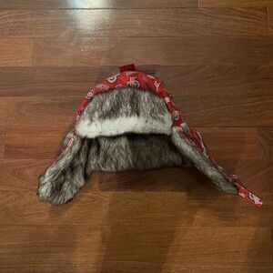 Ohio State Buckeyes NCAA Repeat Print Trapper Hat